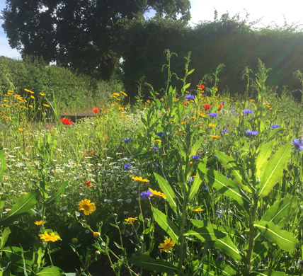 Curlews Farm, Lockerley, Romsey, Hampshire: Holiday Cottages