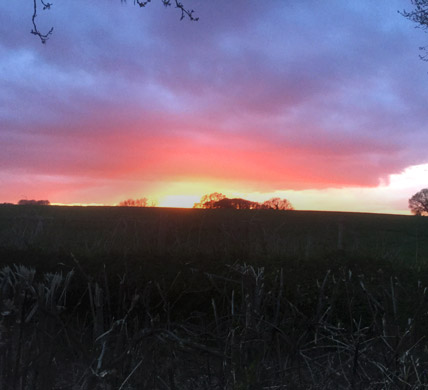 Curlews Farm, Lockerley, Romsey, Hampshire: Holiday Cottages