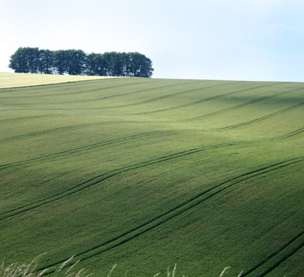 Curlews Farm, Lockerley, Romsey, Hampshire: Holiday Cottages