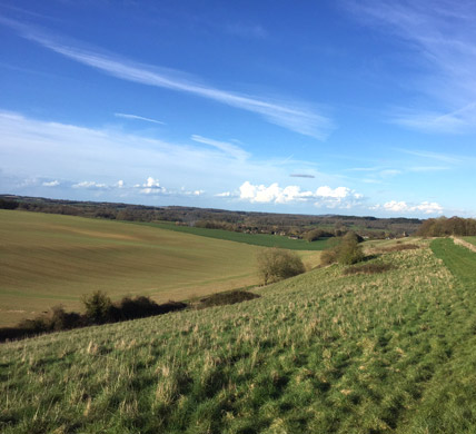 Curlews Farm, Lockerley, Romsey, Hampshire: Holiday Cottages