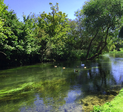 Curlews Farm, Lockerley, Romsey, Hampshire: Holiday Cottages