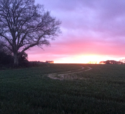 Curlews Farm, Lockerley, Romsey, Hampshire: Holiday Cottages