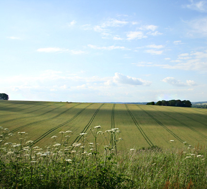 Curlews Farm, Lockerley, Romsey, Hampshire: Holiday Cottages