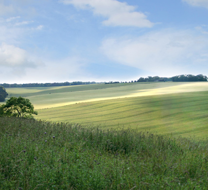 Curlews Farm, Lockerley, Romsey, Hampshire: Holiday Cottages