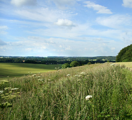 Curlews Farm, Lockerley, Romsey, Hampshire: Holiday Cottages