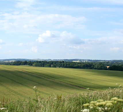 Curlews Farm, Lockerley, Romsey, Hampshire: Holiday Cottages