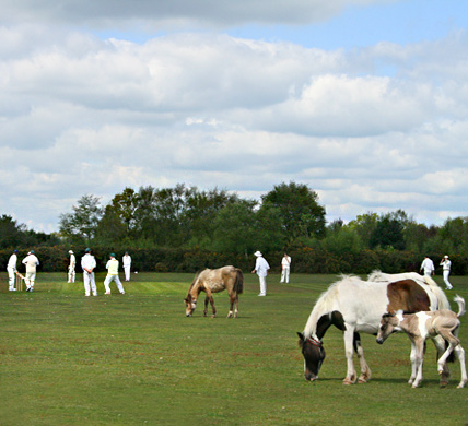 Curlews Farm, Lockerley, Romsey, Hampshire: Holiday Cottages